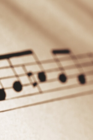dettaglio 1